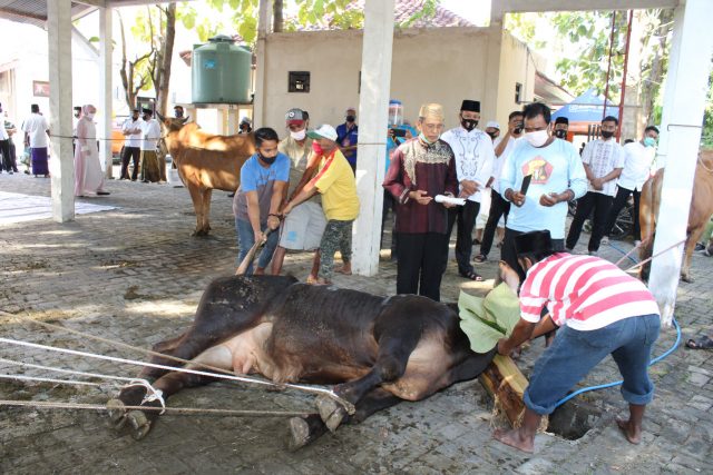 IMG-20200731-WA0032 kapolres Bangkalan (berbaju koko putih) memantau proses penyembelihan hewan qurban di lapangan parkir Mapolres Bangkalan (foto:pojoksuramadu)