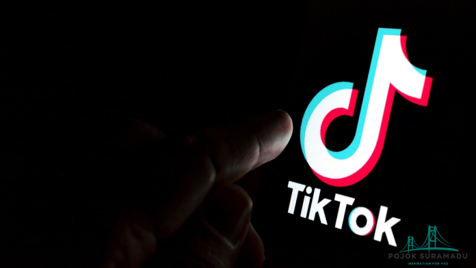 Sejarah Tiktok di Indonesia, Perkembangan dari Tahun ke Tahun 