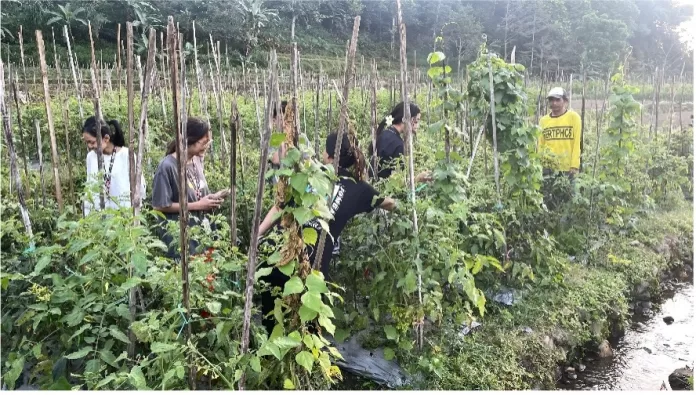 Mahasiswa KKN Kolaboratif UTM Amati Langsung Kehidupan Petani di Desa Puntukdoro Magetan