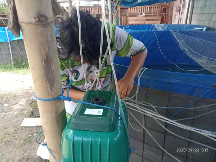 Mahasiswa KKN-T Universitas Trunjoyo Madura Lakukan Persiapan Kolam Bioflok: Siap Jadikan KING LELE FARM Sentra Lele Mandiri di Bangkalan