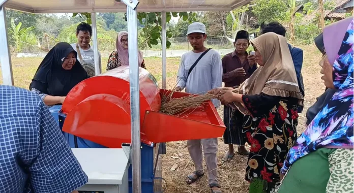 8 Jam Beroperasi, UTM Kenalkan Mesin Perontok Padi Bertenaga Surya untuk Petani Bangkalan